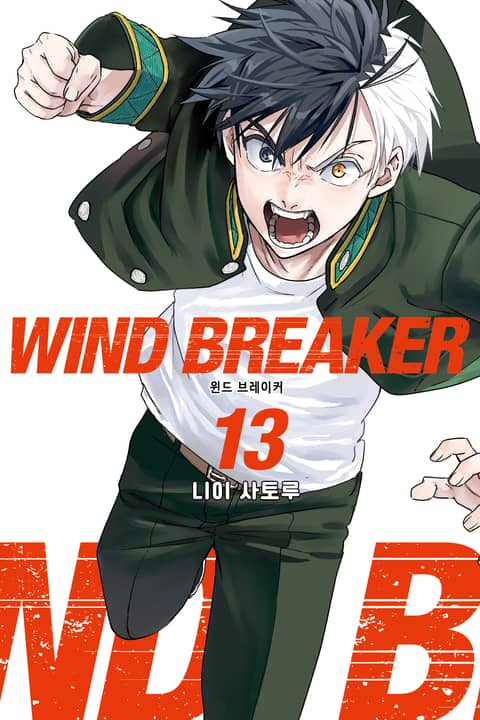 WIND BREAKER -윈브레- 13권