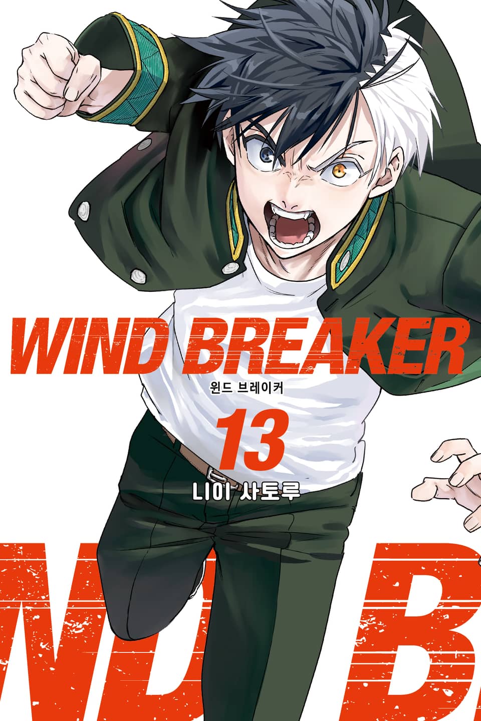 WIND BREAKER -윈브레- 13권