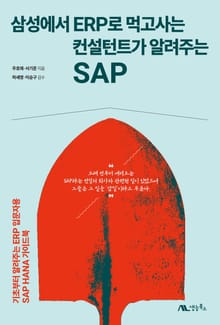 삼성에서 ERP로 먹고사는 컨설턴트가 알려주는 SAP