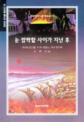 눈 깜짝할 사이가 지난 후 표지 이미지