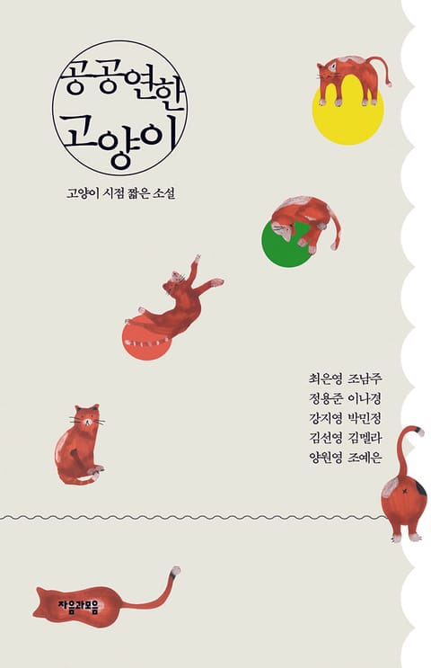 공공연한 고양이 표지 이미지