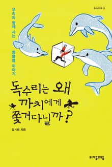 독수리는 왜 까치에 쫓겨다닐까