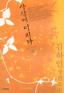 사랑에 미치다 하