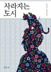 사라지는 도시 표지 이미지