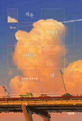 작은 별이 자라는 밤 표지 이미지