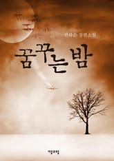 꿈꾸는 밤 표지 이미지