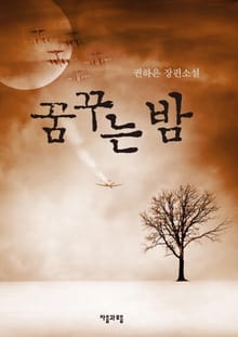 꿈꾸는 밤