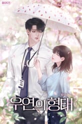 우연의 형태 1권