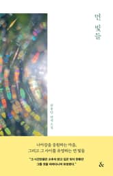 먼 빛들 표지 이미지