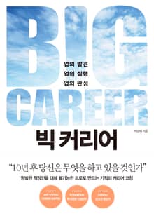 빅 커리어