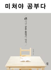 미쳐야 공부다 표지 이미지