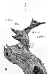 슬픔도 기쁨도 왜 이리 찬란한가 표지 이미지