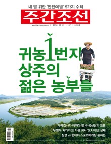 주간조선 2418호