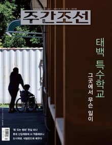 주간조선 2517호
