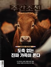 주간조선 2879호 표지 이미지