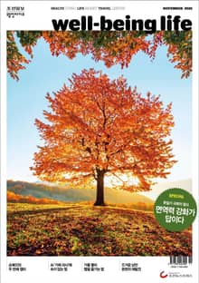 웰빙라이프 2025년 11월호