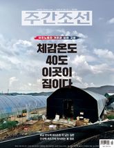 주간조선 2916호 (2026년 07월 06일) 표지 이미지