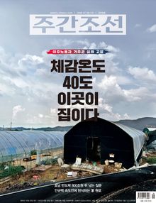 주간조선 2916호 (2026년 07월 06일)