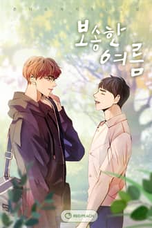 보송한 여름
