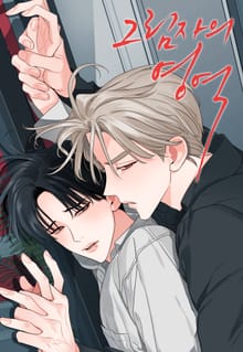 [개정판] 그림자의 영역