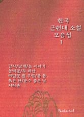 한국 근현대 소설 모음집 1 표지 이미지