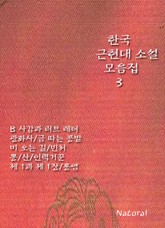 한국 근현대 소설 모음집 3 표지 이미지