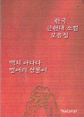 한국 근현대 소설 모음집: 백치 아다다/벙어리 삼룡이 표지 이미지