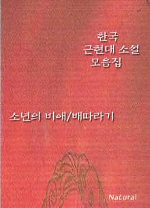 한국 근현대 소설 모음집: 소년의 비애/배따라기