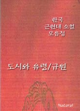 한국 근현대 소설 모음집: 도시와 유령/규원 표지 이미지