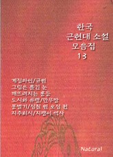 한국 근현대 소설 모음집 13 표지 이미지