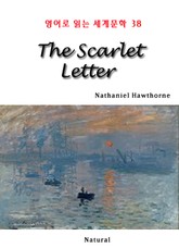 The Scarlet Letter (영어로 읽는 세계문학 38) 표지 이미지