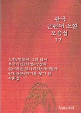 한국 근현대 소설 모음집 17 표지 이미지