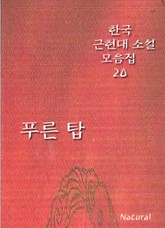 한국 근현대 소설 모음집 20: 푸른 탑 표지 이미지
