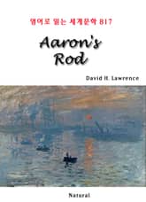 Aaron's Rod (영어로 읽는 세계문학 817) 표지 이미지