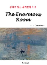 The Enormous Room 표지 이미지