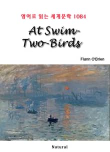 At Swim-Two-Birds (영어로 읽는 세계문학 1084)