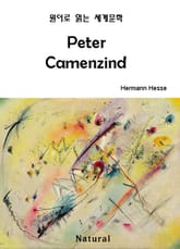 Peter Camenzind (원어로 읽는 세계문학 5) 표지 이미지