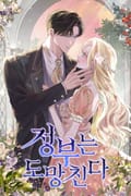 정부는 도망친다 완결 후기