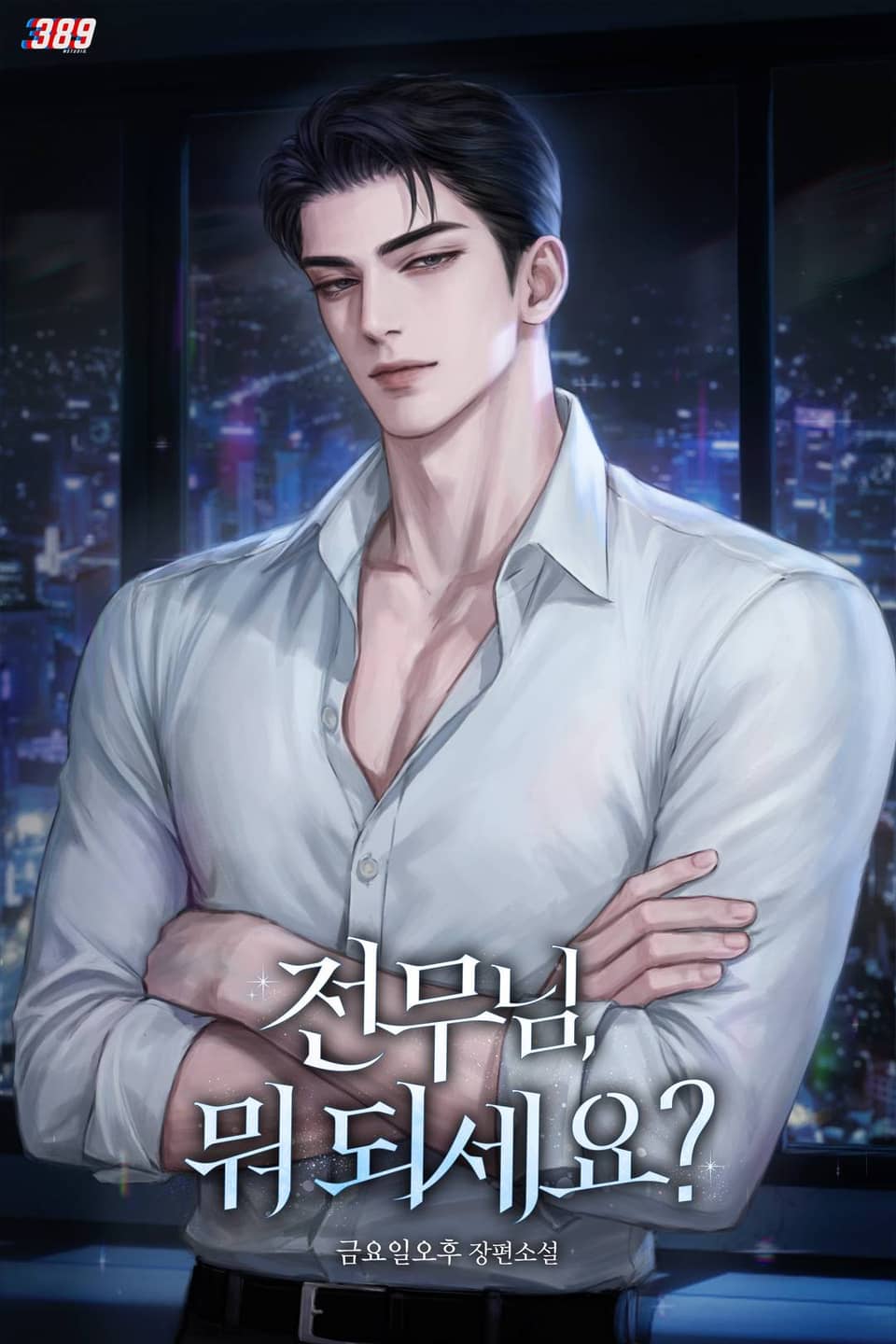 전무님, 뭐 되세요? 4권 (완결)