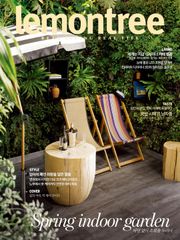 Lemon Tree 2015년 4월호 (월간)