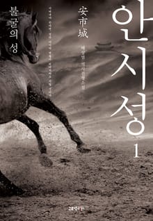 안시성 1권