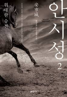 안시성 2권