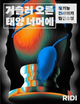 거슬러 오른 태양 너머에 표지 이미지