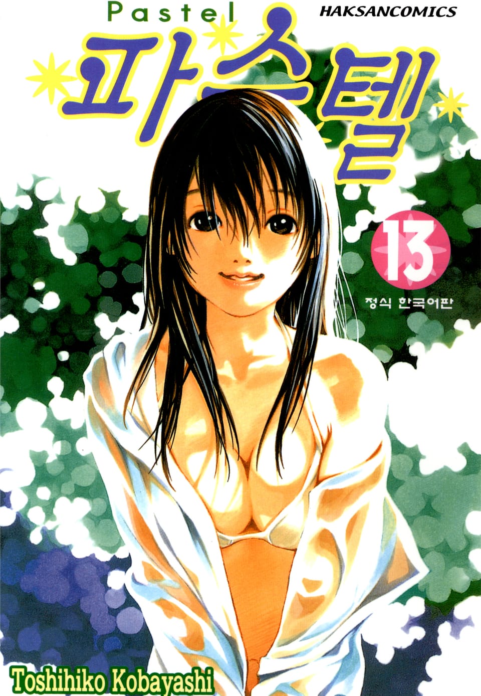 파스텔 13권