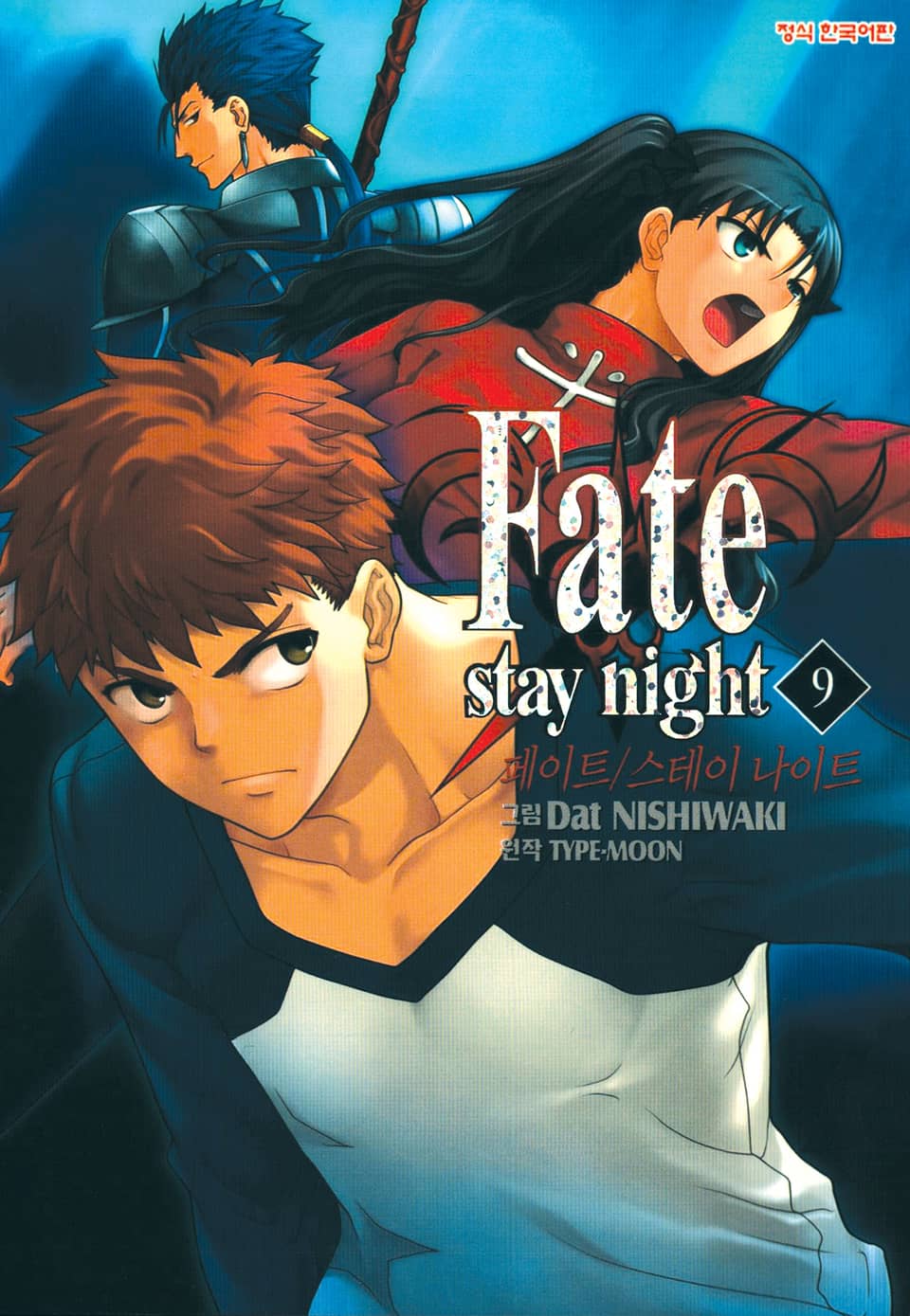 페이트 스테이 나이트(Fate Stay Night) 9권