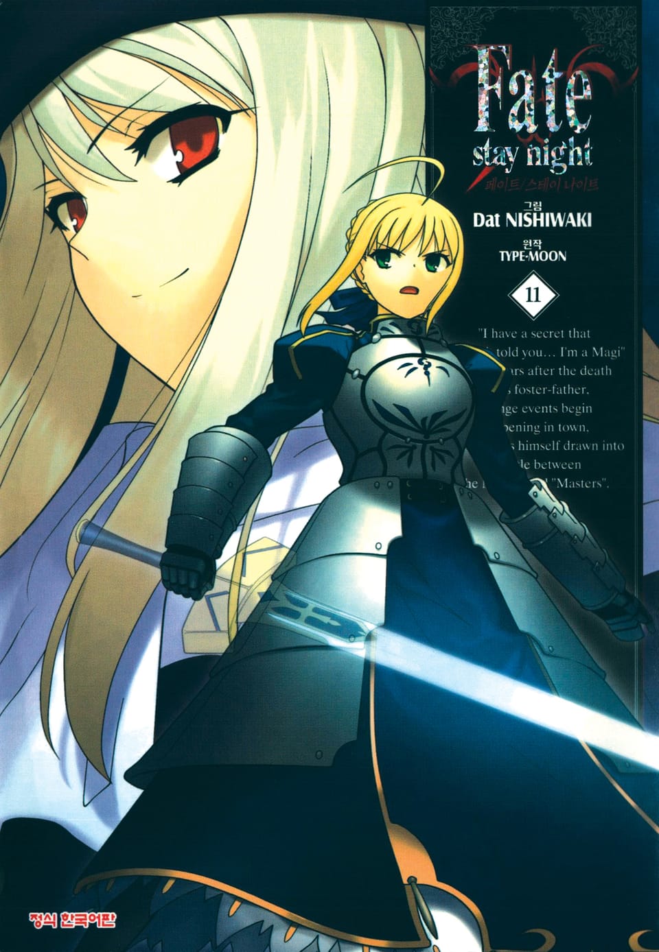 페이트 스테이 나이트(Fate Stay Night) 11권