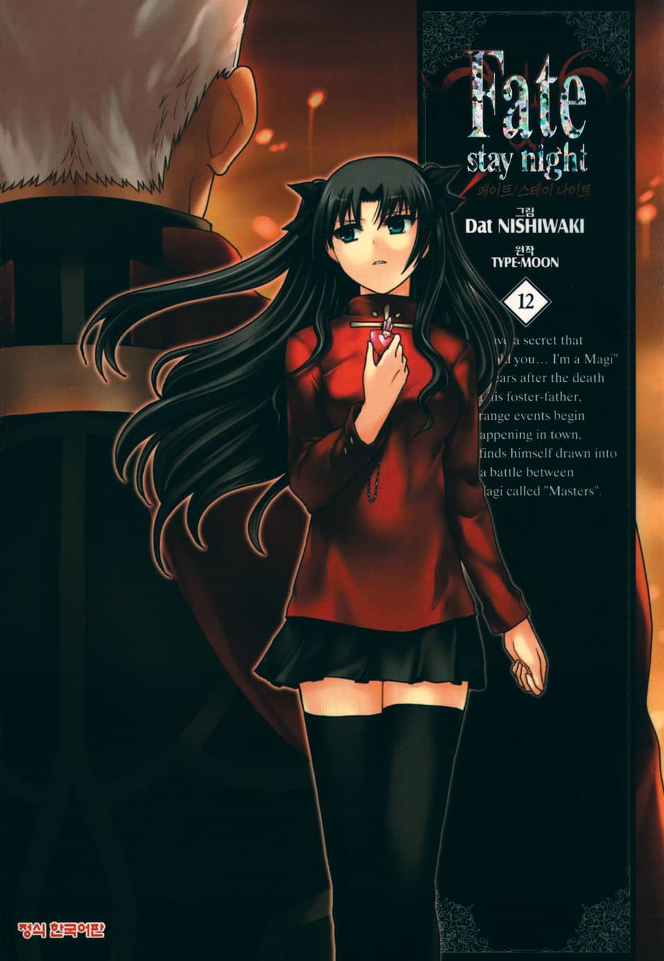 페이트 스테이 나이트(Fate Stay Night) 12권