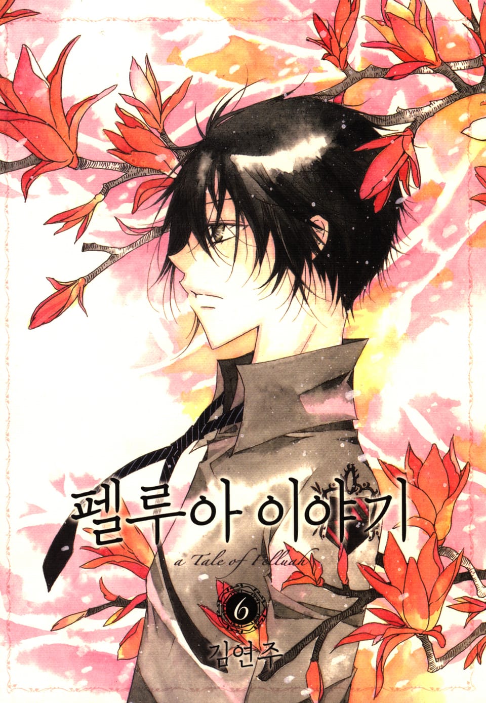펠루아 이야기 6권