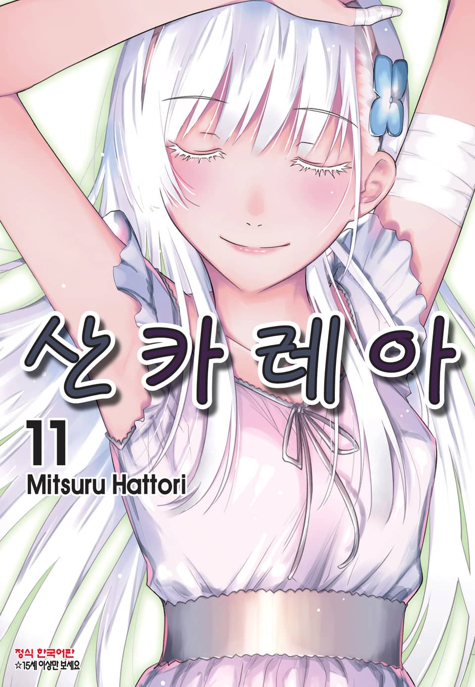 산카레아 11권 (완결)