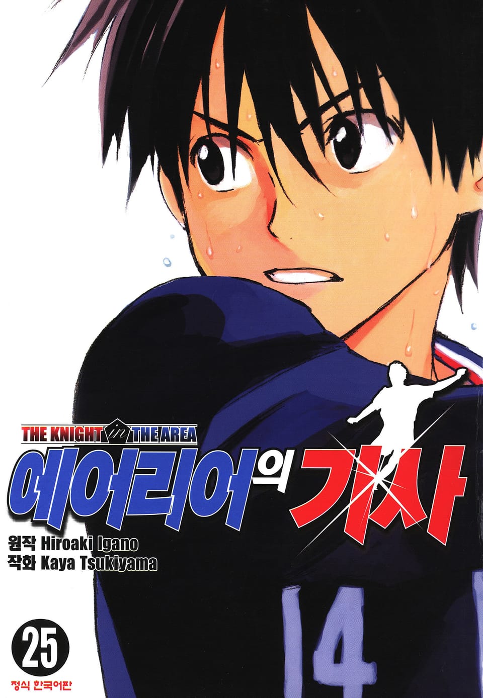 에어리어의 기사 25권